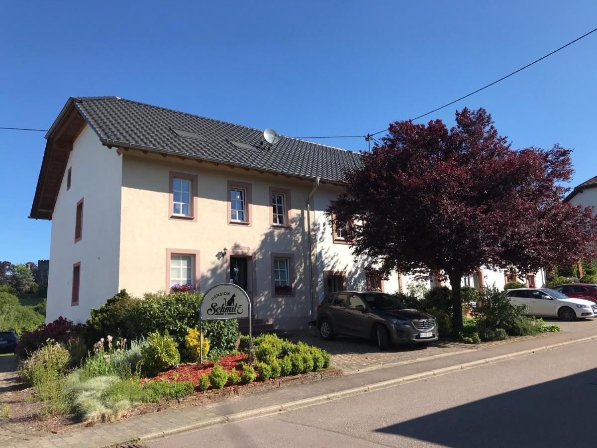Pension Schmitz Serrig Экстерьер фото